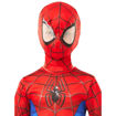 Picture of SPIDER-MAN - 5-6 YEARS